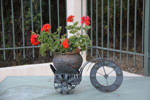 Κήπος