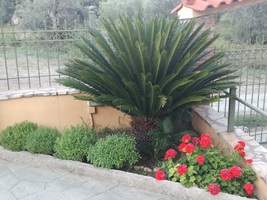Κήπος