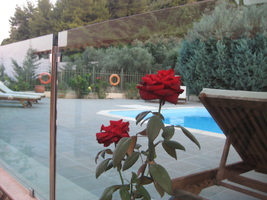 Κήπος